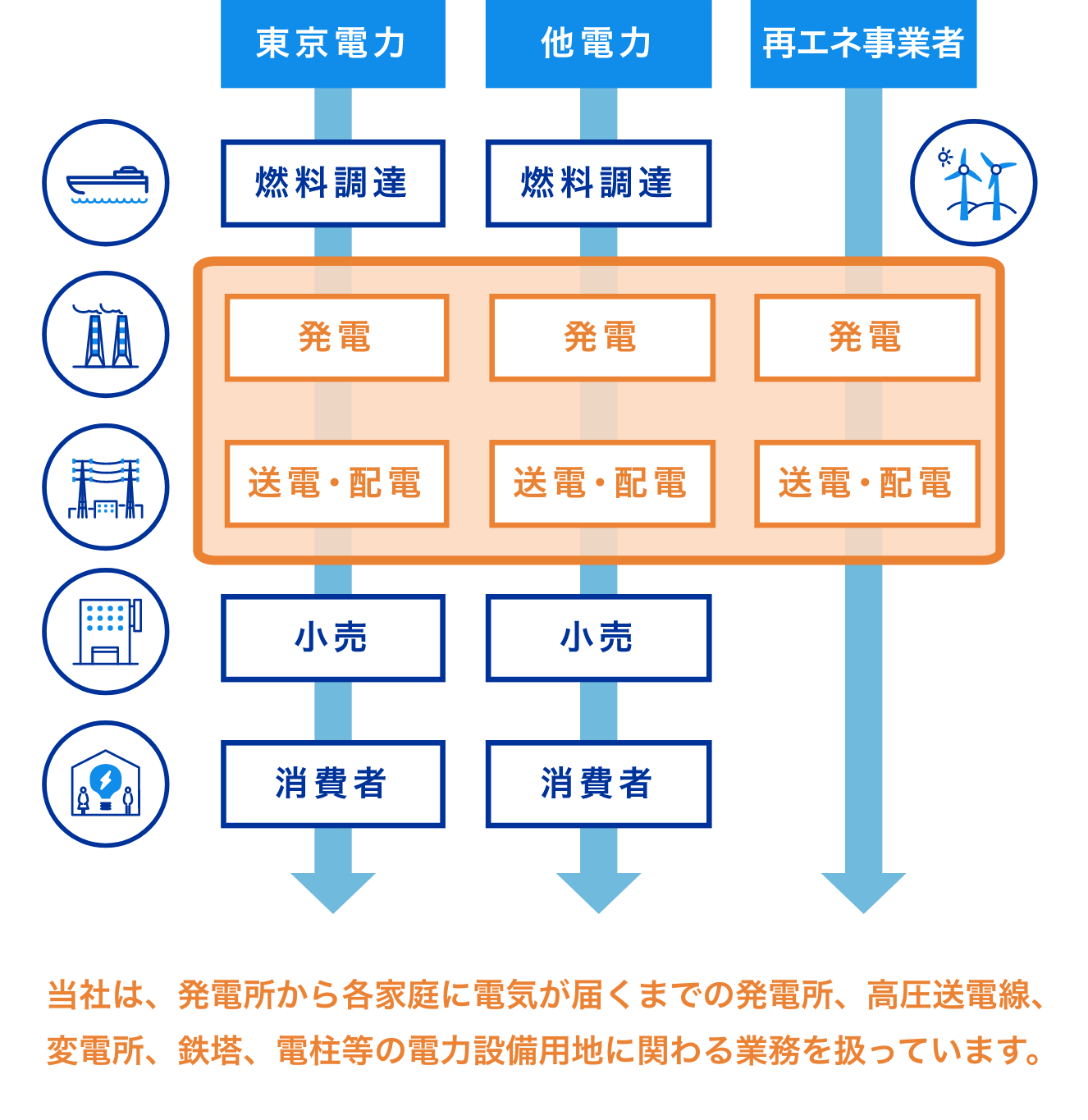 事業領域